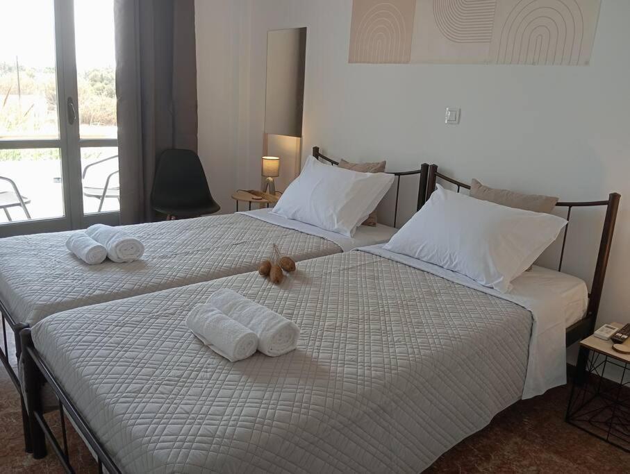 Apartment οικογενειακόν σπίτι στην καρδιά της νάξου! Family