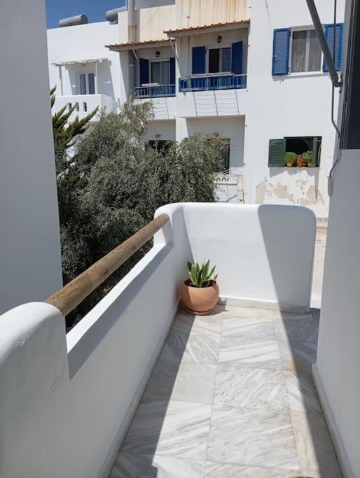 οικογενειακόν σπίτι στην καρδιά της νάξου! Family Apartment *
